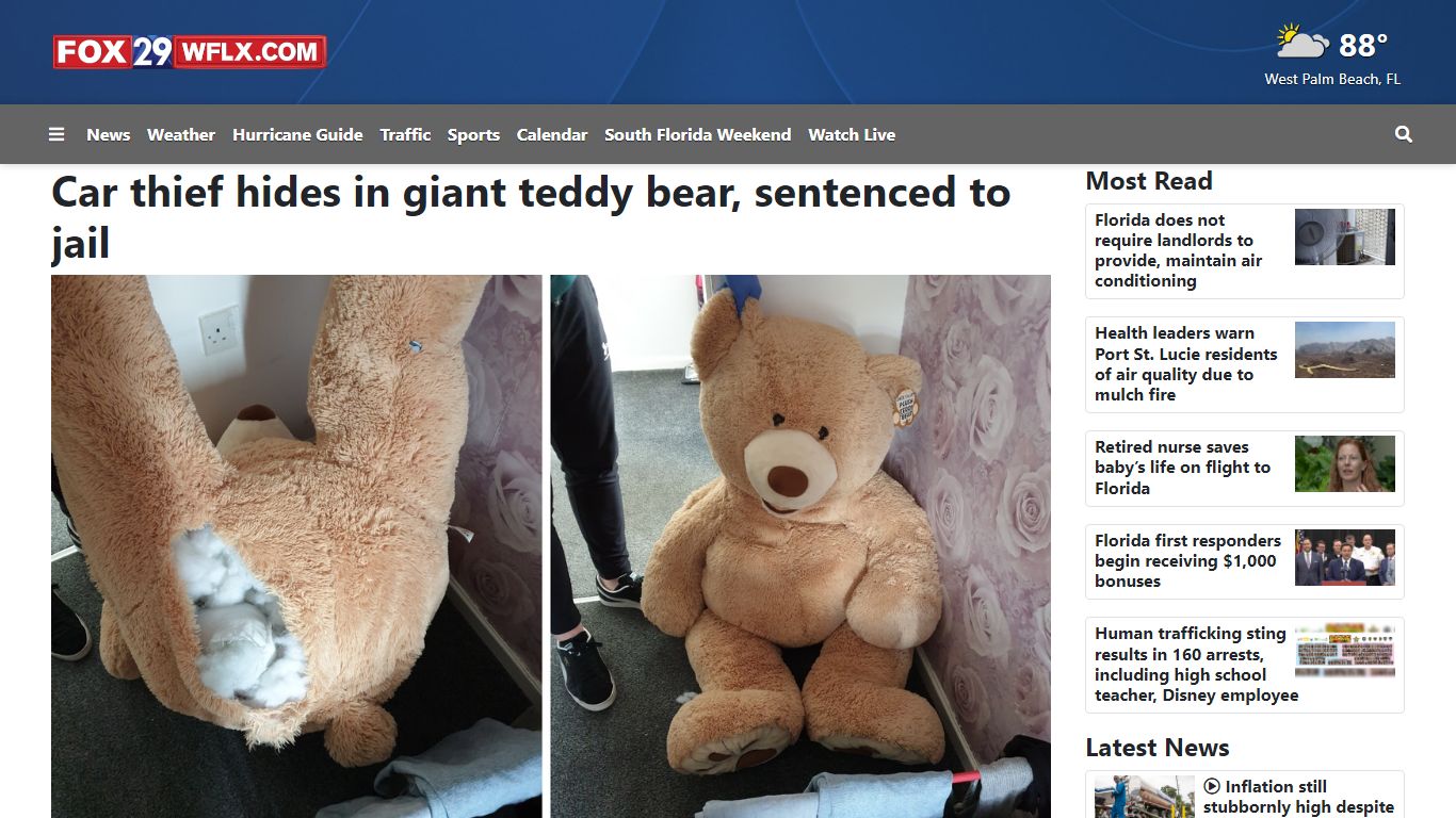 Car thief hides in giant teddy bear, sentenced to jail